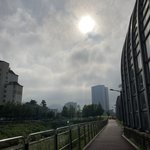 <b>산책</b>하고 왔다 ~!~!~!~!
