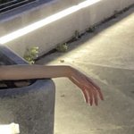 손 ㅈㄴ예쁘지 않냐