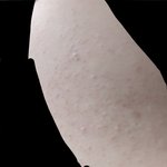이거 팔<b>드름</b>이야?