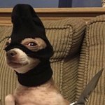 [댓글부탁해] 목에 이런게있는데 뭐야..?