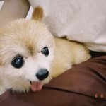 나 <b>아빠</b>없는데 <b>나이</b>많은 남자가 이상형이거든