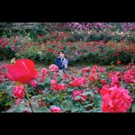 [이태용] 편-안