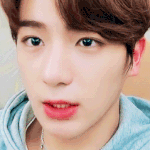 자기 최애혹은 본진 짤털하고 가