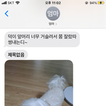 울<b>집개</b> 바보멍텅구리됨