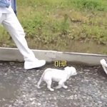 [골든차일드] 마루 근데 생각보다 더 <b>작고</b> 소중하다