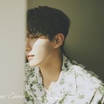 [세븐틴] <b>원우</b>인줄 알았는데 도겸이였어
