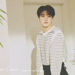 [세븐틴] 권순영 그 <b>포즈</b> 반칙