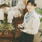 [세븐틴] 근데 호시 <b>상의</b>