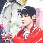 [NCT즌] 장미 나눠주는 주먹밥