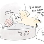 [NCT즌] 툥이 침대봐