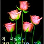 이목구비 다 작은 거 <b>vs</b>이목구비 다 큰 거