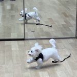 [NCT즌] 천러 너무 부러워