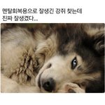 [NCT즌] 와 이거 이제노 일할<b>때</b> 모습아니냐….