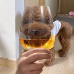 남자 <b>인디</b>밴드 누구얐지