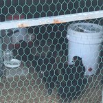 [드루와] 아까 <b>닭장</b>에서 아빠가