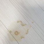 [고양이] 고양이가 토했는데 기생충이 나왔어요ㅜㅜ