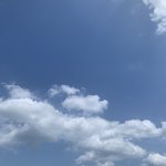 [조언부탁해] 독재학원vs<b>재종</b>학원