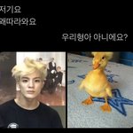 [NCT즌] 이제노 귀여워<b>우어</b><b>우어</b>잉