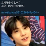 [NCT즌] 아 이거 <b>개설</b>레네
