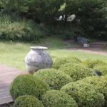 [더보이즈] 그러니까 <b>선우</b>를 여기다가 넣을려고