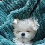 [이태용] 태용이 완전 이 <b>재질</b>