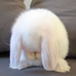 [댓글부탁해] 짝<b>남</b>한테 연락 왜 <b>안</b>보냐고 할까말까