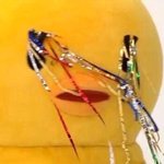 [19] <b>d</b><b>컵</b>인데 가슴 보면 스트레스받아