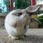 귀엽고 <b>소장</b>할수있는 그런 선물 뭐있냐