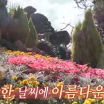 홍현희 반려<b>동물</b>설ㅋㅋㅋㅋㅋㅋㅋㅋㅋㅋㅋ