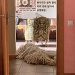 이제는 <b>오명</b> 벗고 싶은 댕댕이