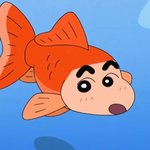 [댓글부탁해] 자꾸 멍이 생겨 부딪힌적도 없는데
