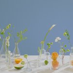 [BTOB] 요즘 돌려쓰는 일코용 <b>배사</b>들ㅎㅎ