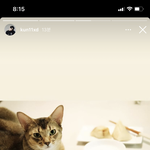 [NCT즌] 쿤 백퍼 한 손에는 간식 들고 사진 찍었겠지