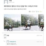 너네 제발 제주도 무시 하지<b>마</b><b>셈</b> 막 말타고 다니고