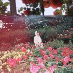[NCT즌] 놈흐 이쁘당