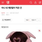 [NCT즌] 놀랍게도 아무도 <b>관심</b>을 주지 않는데..