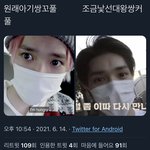 [이태용] 오늘 툥이 쌍코플