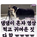 [BTOB] 이거봐 진짜 귀엽다 임현식 ㅋㅋㅋㅋ