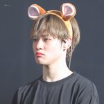 [NCT즌] 내 인생눈물버튼