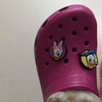 [댓글부탁해] 내 친구 이거 손<b>절각</b>임?