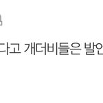 스테이들은 이걸 꼭 보길 진짜 선넘 <b>개더</b>비 드립