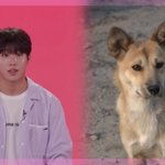 MBC 새 서바이벌 프로그램