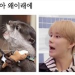 [NCT즌] <b>모야</b>아~ 왜이래애~