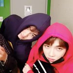 더보이즈 <b>소동물</b>들