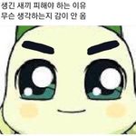 [이것좀봐줘] 어제 판녀톡방 애들 프사 캡처본 ㅋㅋ