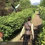 [더보이즈] 누가 이주연 <b>심즈</b>같대ㅋㅋㅋㅋㅋㅌㅋ