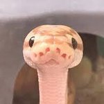 [NCT즌] 너네 재민이 모에화 뭐로 하냐