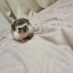 [TXT] <b>오디</b>사진 카톡 프사
