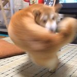 [댓글부탁해] <b>intj</b>들아 전화하고 연락하는거 매일하기 가능?