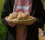 중딩들의 풋풋한 썸을 그린 드라마